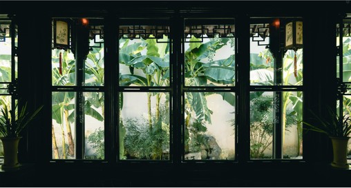Garden window inspiration