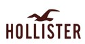 Hollister brand mark used in author positioning research