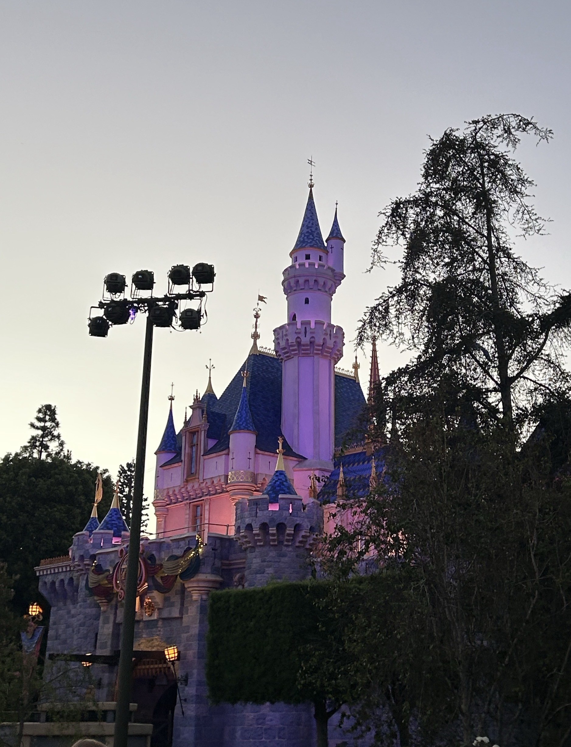 Theme park castle